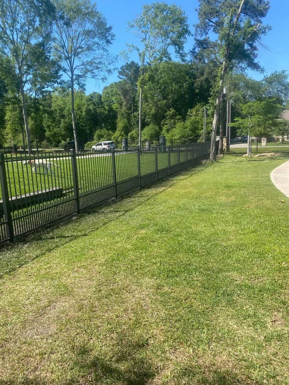Larga barda perimetral de hierro negro dividiendo un enorme patio arbolado de un camino curvo de concreto. Se ve un perro blanco corriendo detrás de la barda.
